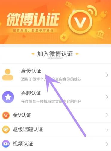 实名制,网络,用户,信息,10,言论,平台,社交,隐私,真实性