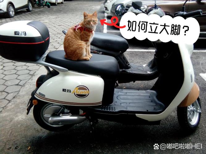 插件,大脚,删除,文件夹,管理工具,游戏,本文,魔兽,选项,文件