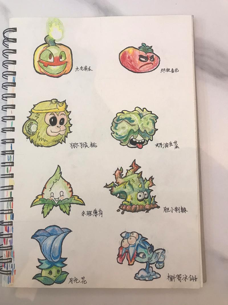 植物,僵尸,游戏,秘籍,合理,道具,种植,玩家,大战,地形