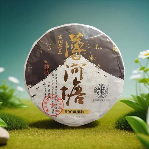山庄,修炼,庄园,禅院,各种各样,一座,小径,10,修行者,这里
